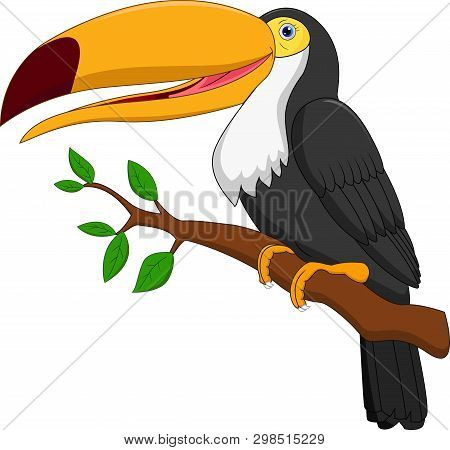 Cute Toucan Bird Cartoon Isolated On White Background