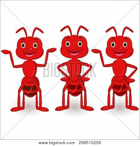 Cute Ants Cartoon Collection Set On White Background