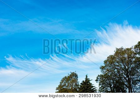 Unusual, Strange Cloud Formation Over A Blue Sky With Chemtrails, Contrails And Trees.