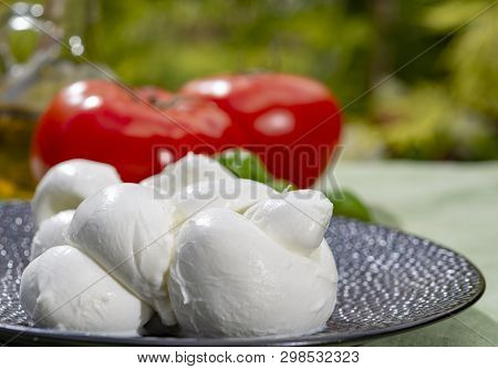 Twisted To Form A Plait Treccia Mozzarella Italian Soft Cheese Served With Fresh Basil And Tomatoes