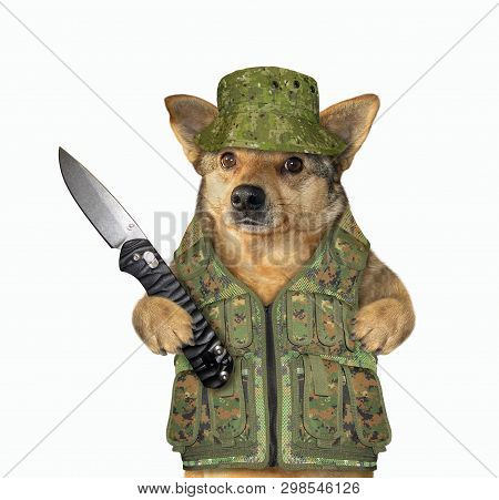 The Dog In Hunter Uniform Is Holding A Jackknife. White Background. Isolated.