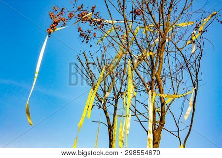 Dry Tree With The Yellow Ribbin On It In The Open Sky.