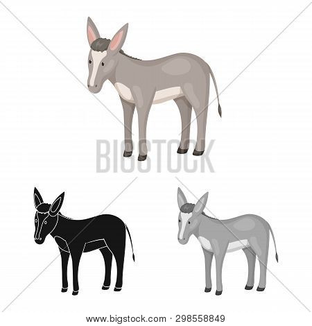 Isolated Object Of Donkey  And Animal Symbol. Set Of Donkey  And Grey  Vector Icon For Stock.