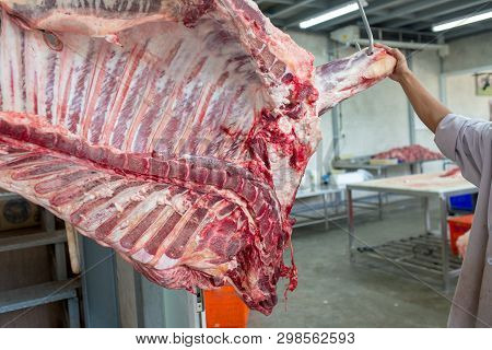 Beef In A Slaughterhouse Or Butcher A Cow In Thailand.