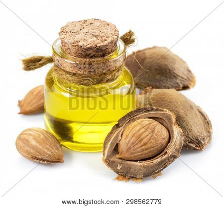 Apricot kernel oil and apricot kernels isolated on the white background.