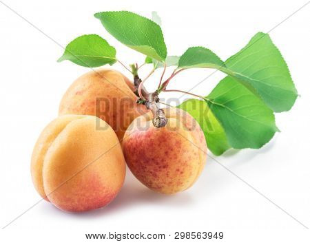 Three ripe apricots isolated on the white background.