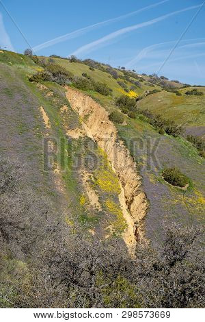 View Of The San Andreas Fault Along Highway 58 In California, At Carrizo Plain National Monument. Wi