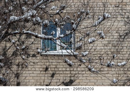 A Part Of Gray Brick Wall Of House With One Window With Plastic White Frames And Green Plants And To