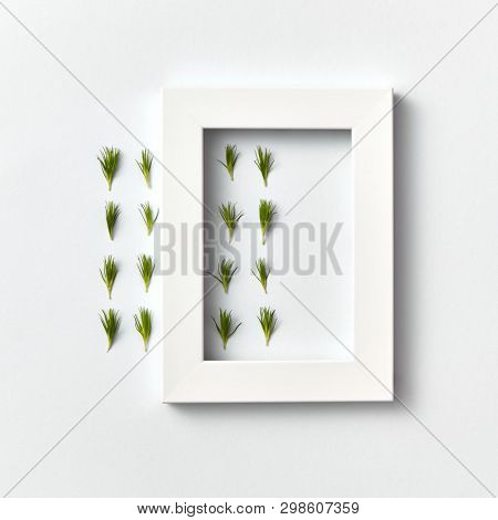 Ogranic herbal pattern of pine needles twigs and rectangular frame on a light gray background. Place for text. Flat lay. Post card.