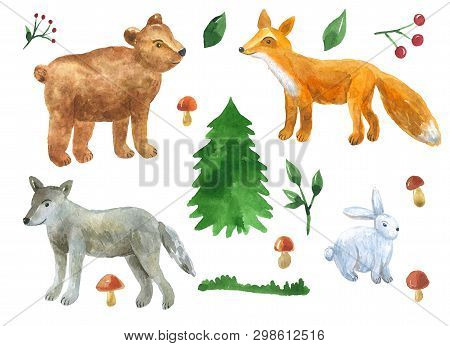 Forest Animals In Cute Style: Wolf, Bear, Fox, Hare. Set Of Elements For Design. Spruce, Mushrooms, 