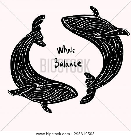 Vaquita Marina Blue Whale Sealife  Vector Illustration