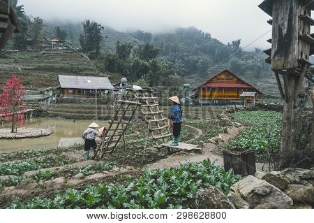 Two Women Are Working In The Garden In Catcat Village, Vietnam. Rural Life Of The Vietnamese Hinterl