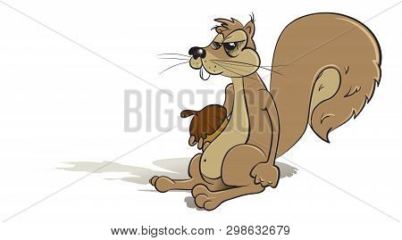 Angry Squirrel Vector Illustration, Holding An Acorn