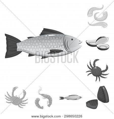 Vector Design Of Seafood And Healthy Sign. Set Of Seafood And Ocean Vector Icon For Stock.