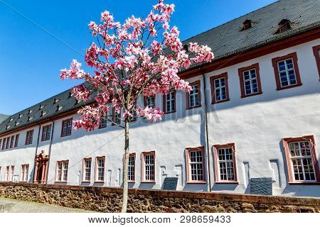Kloster Eberbach, Near Eltville Am Rhein - Mystic Heritage Of The Cistercian Monks In Rheingau, Hess