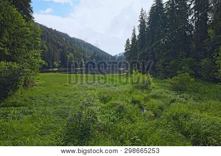 Beautiful Scenery Of Synevyr Lake In Summer Morning Light. Spruce Forest And Clouds Reflecting On A 