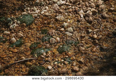 Clear Water In A Creek Running Through Rocks And Plants