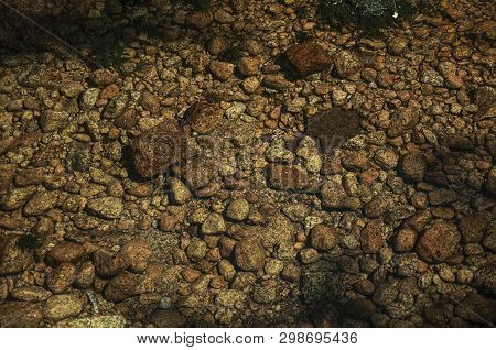 Clear Water In A Creek Running Through Rocks And Plants