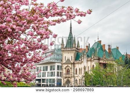 Cityscape Kosice, Slovakia With A Historical Building Jakab Palace On A Background Of Blossoms Sakur