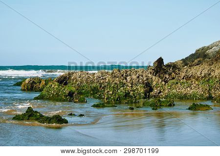 Nature And Relax In The Coast In Noja