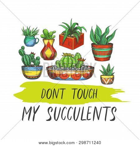 Sign Cactus Banner Vector Photo Free Trial Bigstock