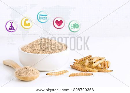 Bamboo Worm Powder Items Made Of Cooked Insect Meat For Eating As Food Edible. Bamboo Caterpillar An