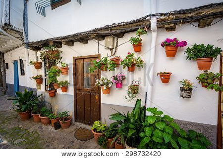 Street Full Of Flowerpots On The Floor And The Walls, In Spain