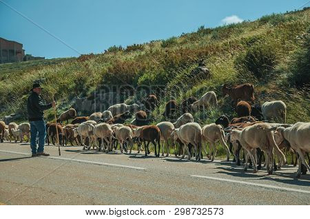 Serra Da Estrela, Portugal, July 14, 2018. Shepherd With Flock Of Goats Grazing Beside Road, At The 