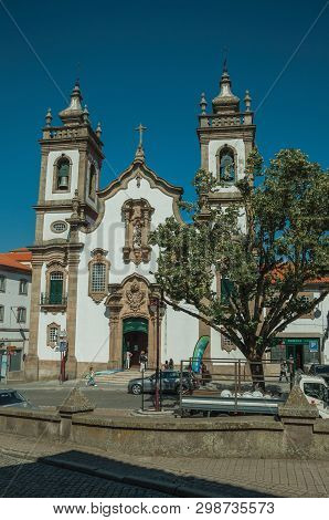 Church Of The Misericordia In Baroque Style And Leafy Tree