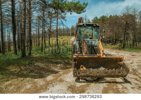 Bulldozer On A Dirt Road In A Burnt Forest