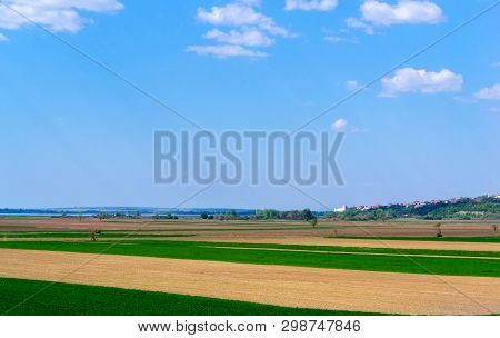 Fields Next To Danube. Agroculture Field