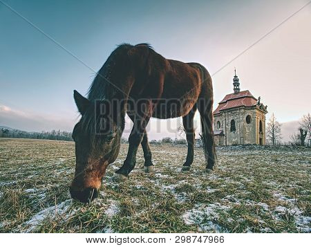 Farm Meadow For Horses At Village Church Or Chapel.  End Of Civilization