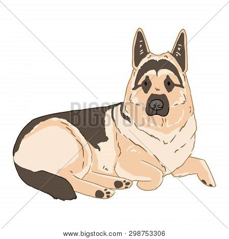 Lying Cartoon German Shepherd Dog On White Background. Vector Illustration Of Simple Drawn Dog Pictu