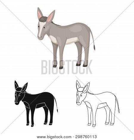 Vector Illustration Of Donkey  And Animal Icon. Collection Of Donkey  And Grey  Vector Icon For Stoc