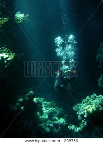 Scuba Dicer i Reef skygge