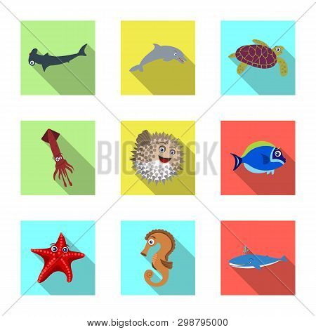Isolated Object Of Sea And Animal Icon. Set Of Sea And Marine Vector Icon For Stock.