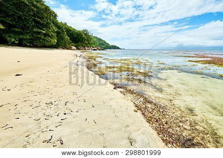 Coastline Of Praslin, Tropical Beach With Big Granite Rocks , An