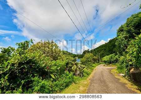 Cap Ternay Road, Seychelles, Nature Tropical, Island