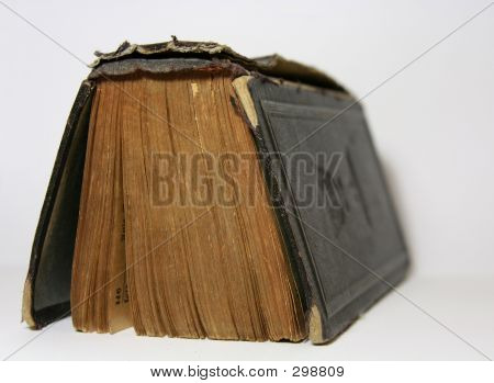 Bog