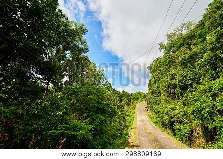 Cap Ternay Road, Seychelles Island, Nature Tropical