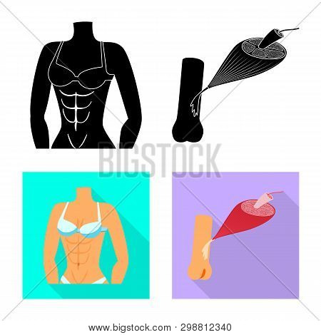 Vector Illustration Of Fiber And Muscular Icon. Set Of Fiber And Body  Vector Icon For Stock.