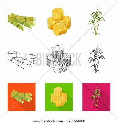 Vector Design Of Farm And Agriculture  Symbol. Collection Of Farm And Technology Vector Icon For Sto