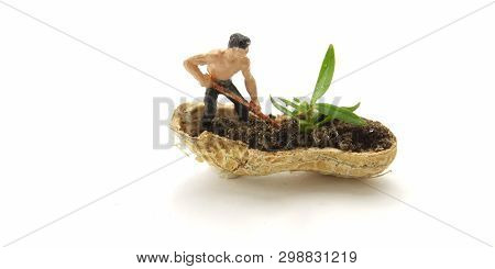 Conceptual Illustration, Keep Struggle, Mini Figure Man Farming At Limited Area, Peanut Skin, With W
