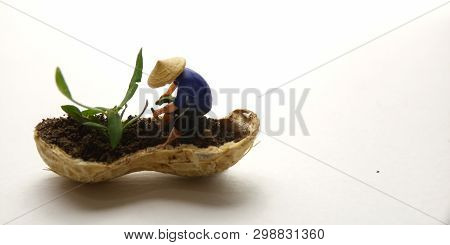 Conceptual Illustration, Keep Struggle, Mini Figure Man Farming At Limited Area, Peanut Skin, With W