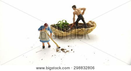 Conceptual Illustration, Keep Struggle, Mini Figure Man Farming At Limited Area, Peanut Skin, With W