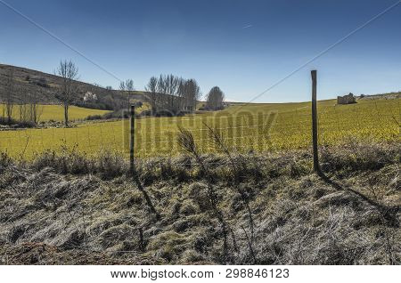 Prairies And Fenced Fields In The Vicinity Of The Ayllon Village. Segovia Spain