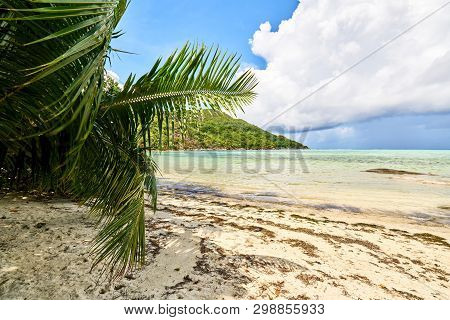 Bay Ternay & Cap Ternay Beach, Marine National Park, Mahe, Seych