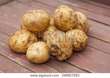 Many Fresh Potatoes On Wooden Table In The Village