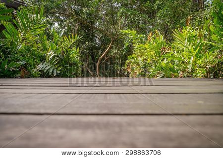 Low Angle View Of Dark Wooden Floor With Lush Green Forest In The Background. Bang Krachao, Thailand