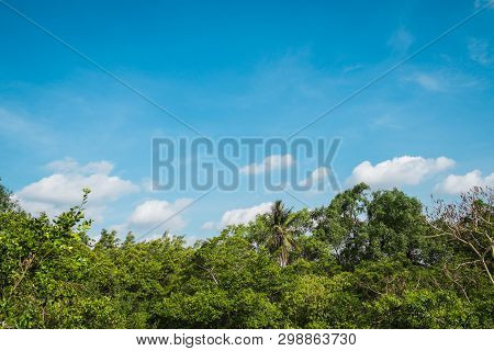 Blue Sky And White Clouds Over Lush Green Forest In Sri Nakhon Khuan Khan Park And Botanical Garden.